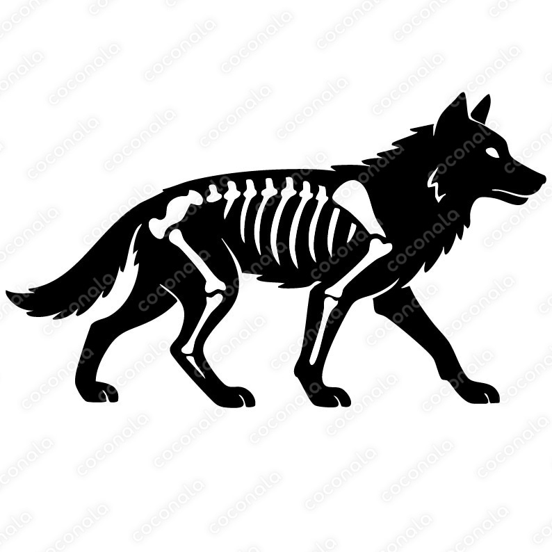 狼の骨のイラスト