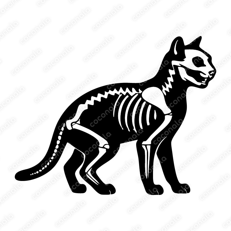 猫の骨のイラスト