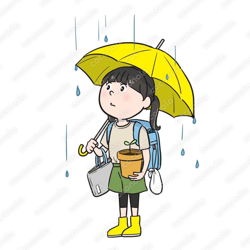 雨の日にたくさんの荷物を持つ小学生（カラー）