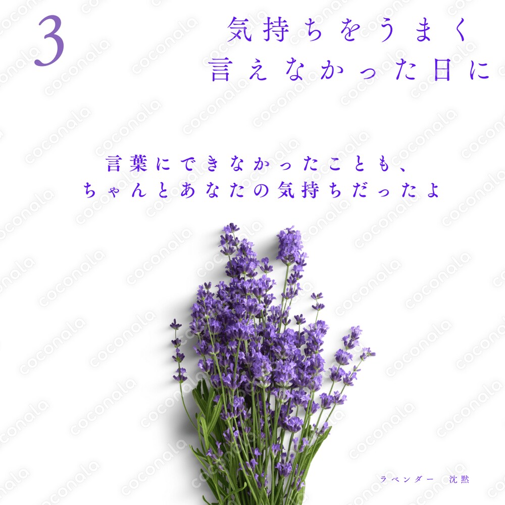 あなたの心に寄り添う　ちいさな魔法のことば　 〜花からの12のメッセージ〜