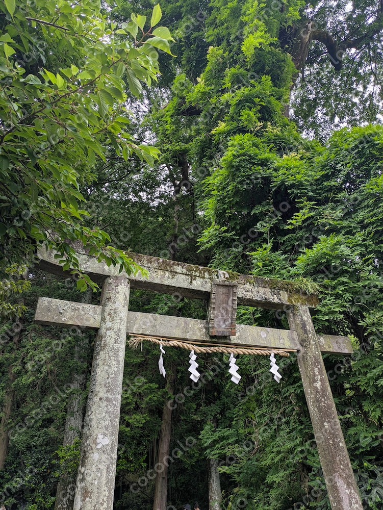 風景写真素材