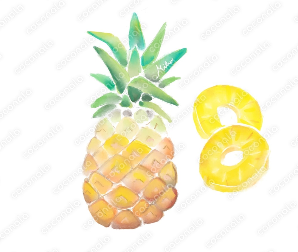 夏のチラシ・ポップに使える水彩画　パイナップル