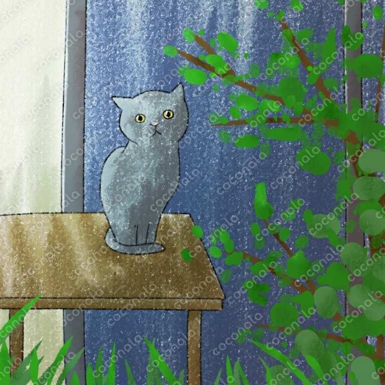 どこかのお庭の猫