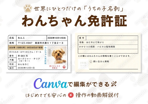 愛犬・愛猫のペット名刺のCanvaテンプレート │ 免許証デザイン