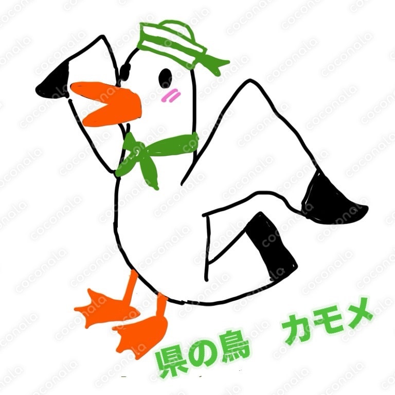 神奈川県の鳥　カモメ
