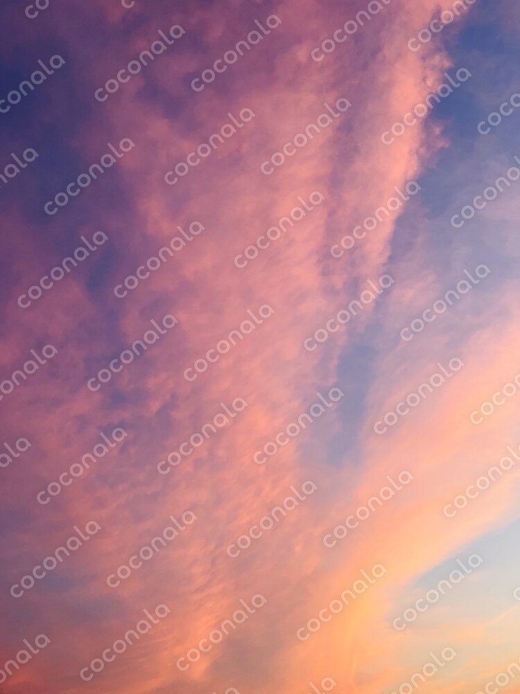 空の写真