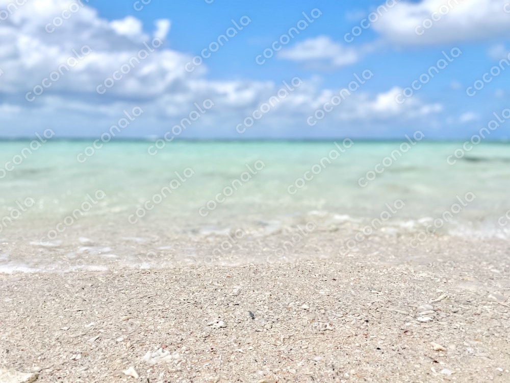 【商用利用可】沖縄の海の写真素材３／夏・青空・南国・南の島・リゾート・砂浜・ビーチ