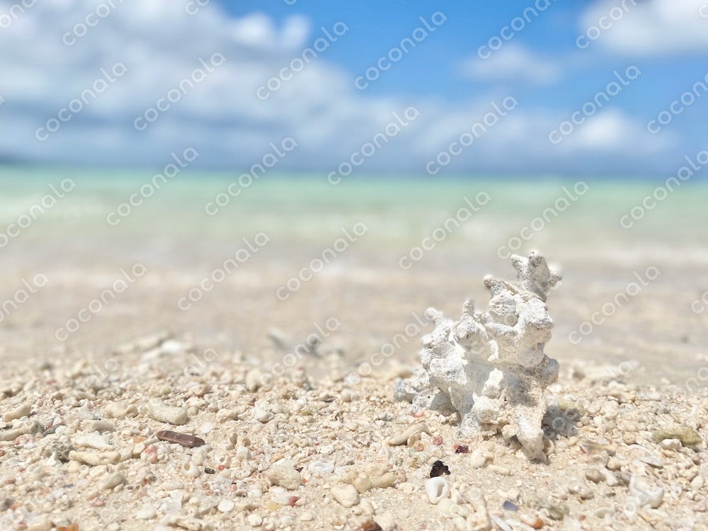【商用利用可】沖縄の海の写真素材５／夏・青空・南国・南の島・リゾート・砂浜・ビーチ