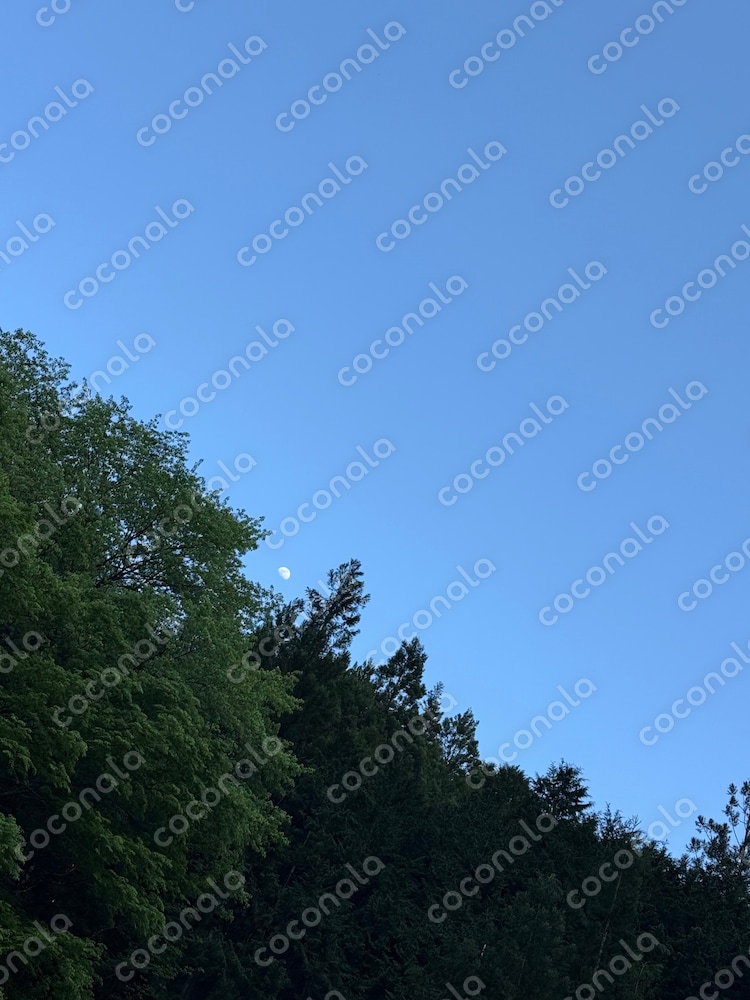 風景写真