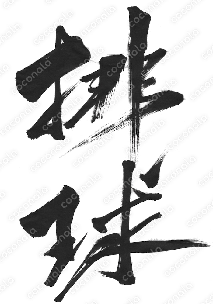 スポーツ名漢字/筆文字素材【排球（バレーボール）】
