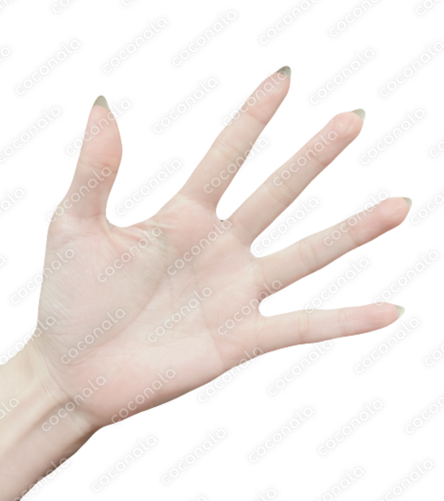 手を開いた写真
