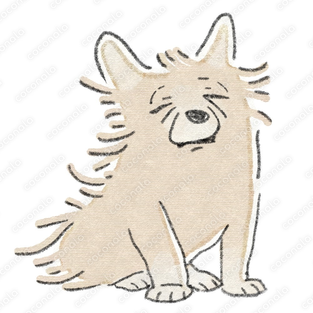 目立つ！ワンちゃんアイコンイラスト
