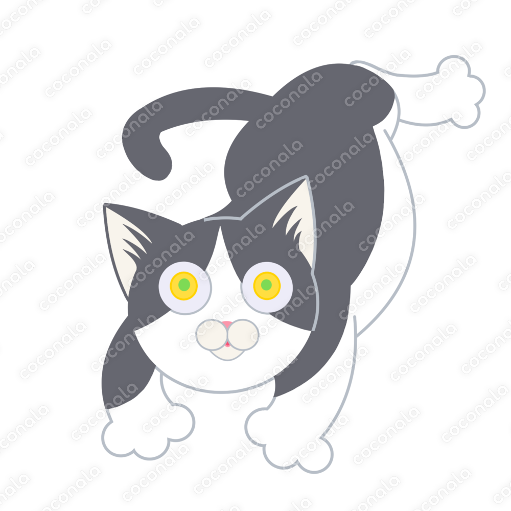 ちょっと猫イラスト（ハチワレ）
