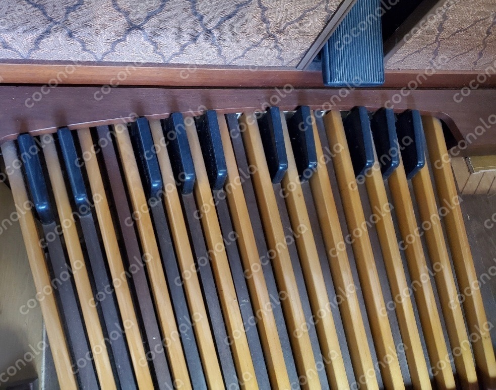 音楽に使える素材