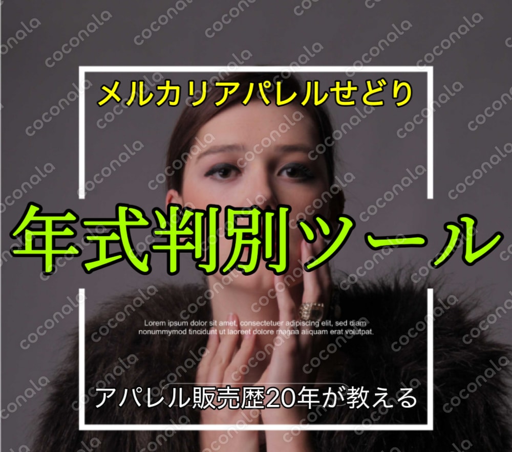 アパレルせどり/年式せどり/年式判別方法/アパレル販売歴20年が作ったメルカリせどり年式判別ツール