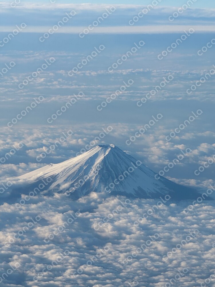 雲海富士
