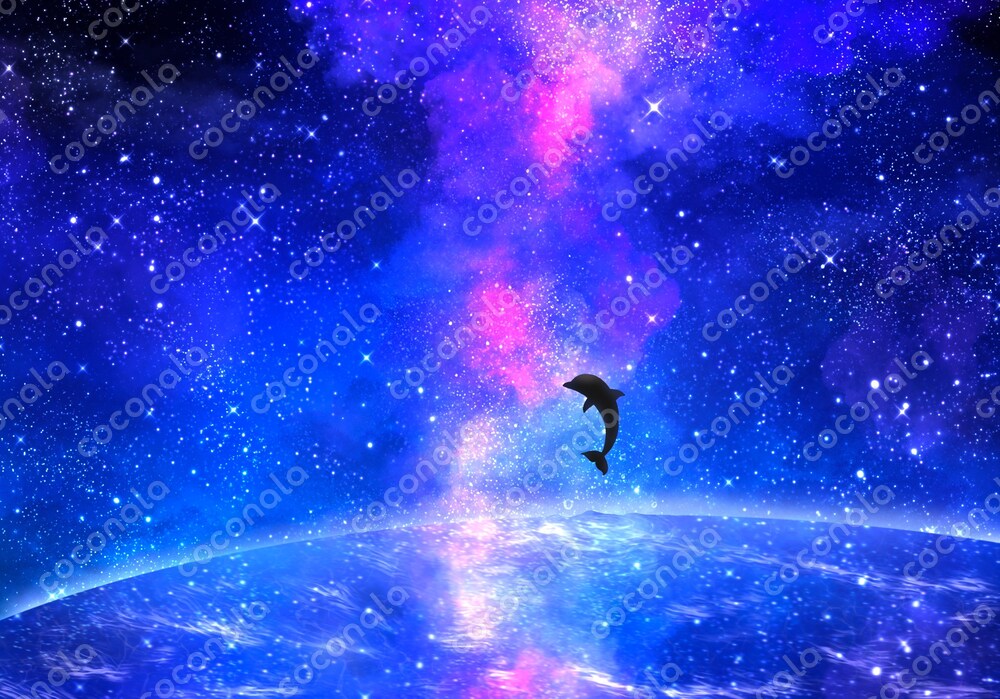 星空と海とイルカ