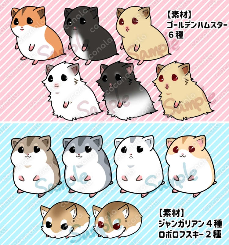 ハムスターいっぱいセット