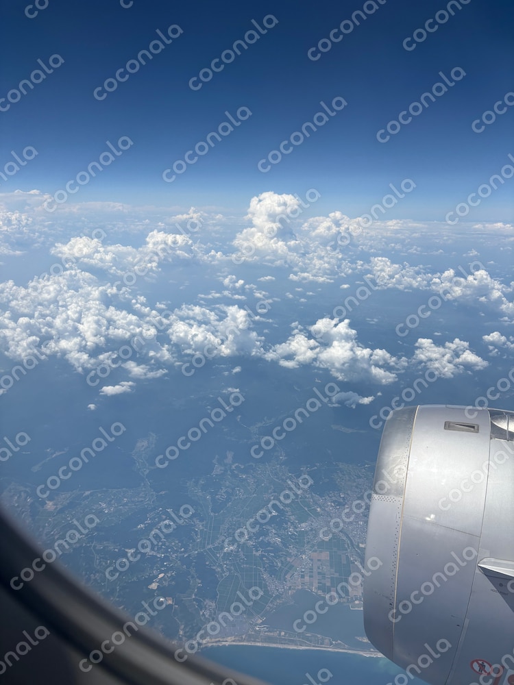 飛行機