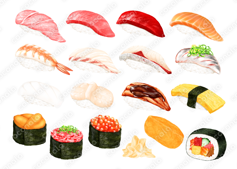 リアルタッチで描いた寿司ネタセット/背景透過PNG/商用利用可