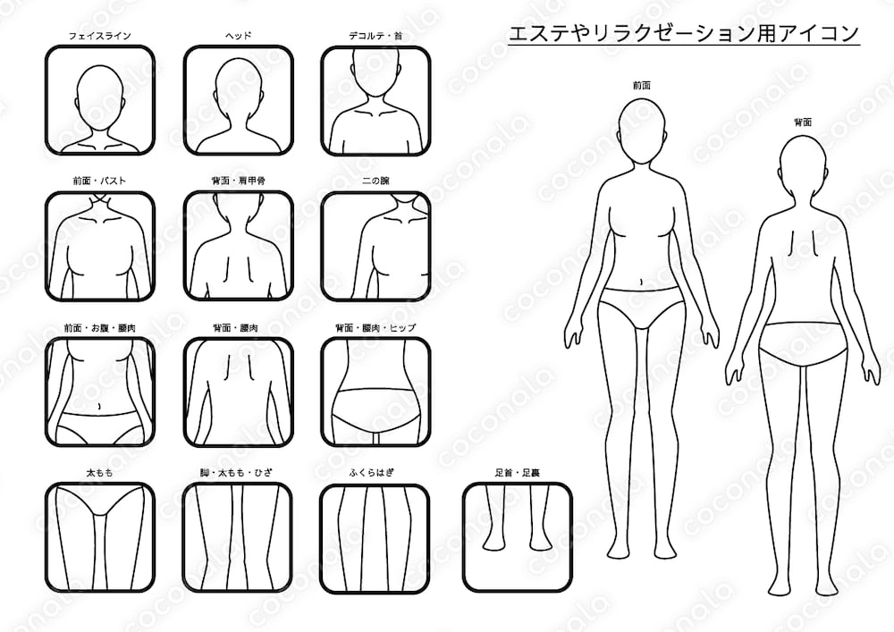エステサロンなどのメニュー表やチラシに使えるカラダの部位アイコン