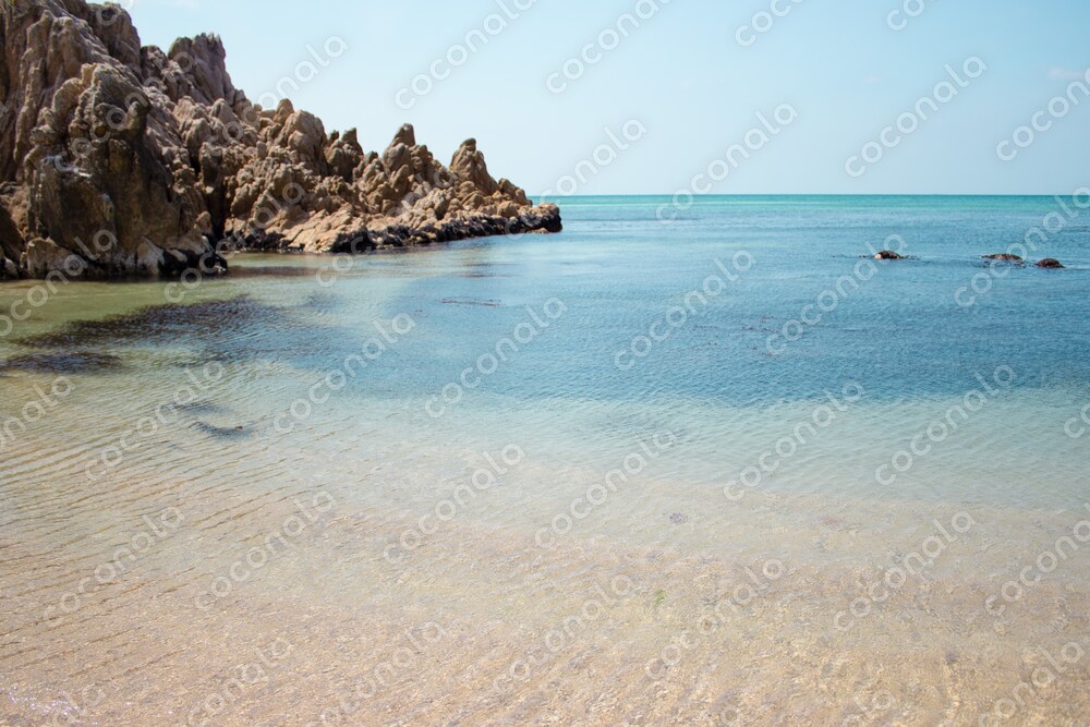 海