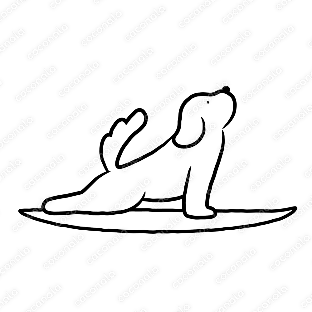 サーフィンする犬