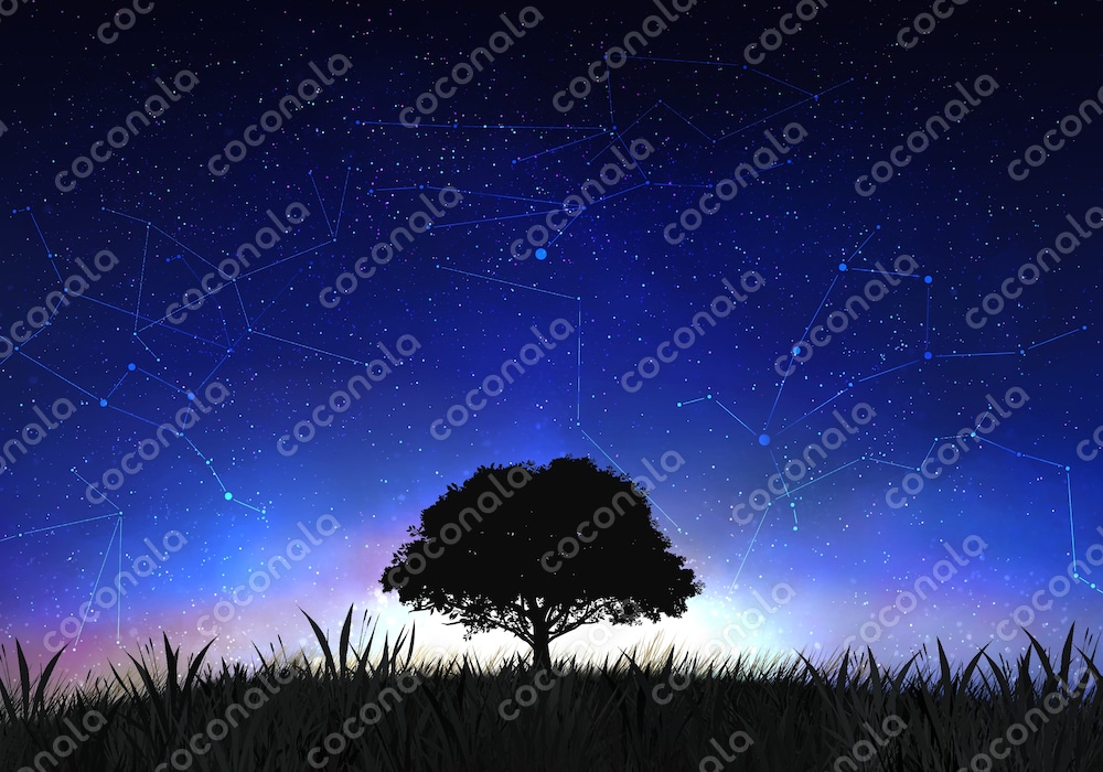 高解像度の背景イラスト