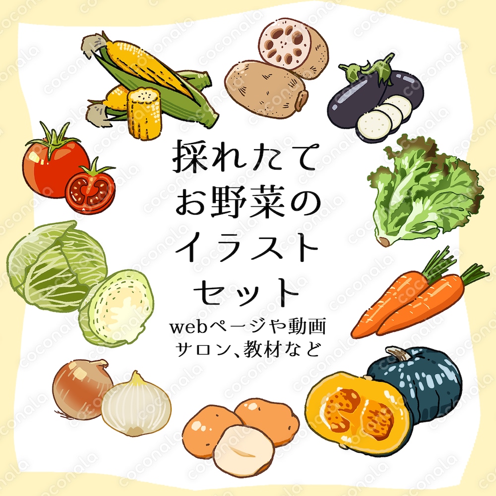 採れたてお野菜のイラストセット