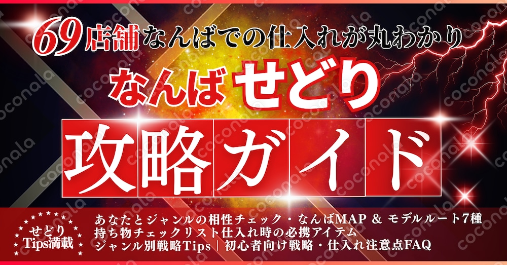 【保存版】明日のご飯の心配をしていた私がなんば店舗せどりで社長になった仕入れガイド｜モデルルート付