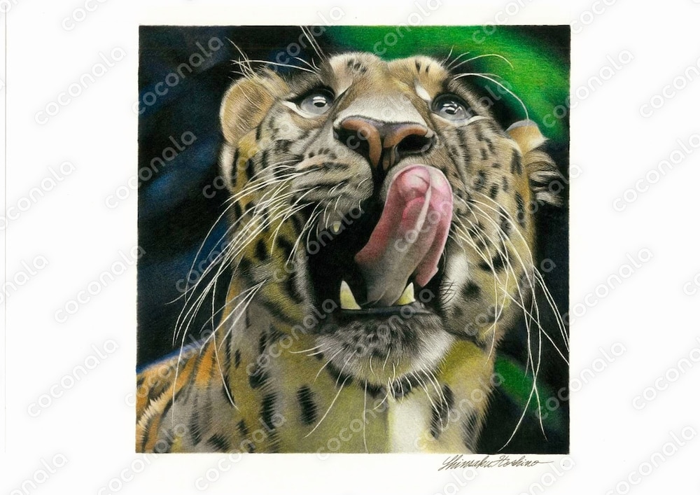 ヒョウ　色鉛筆画
