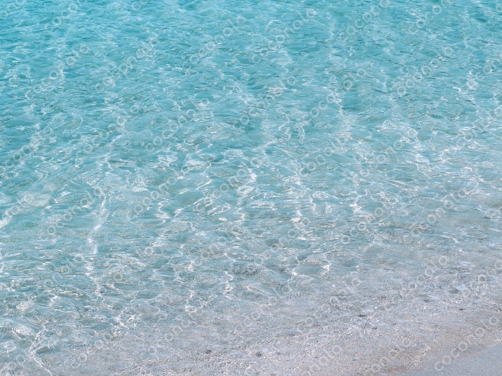 海