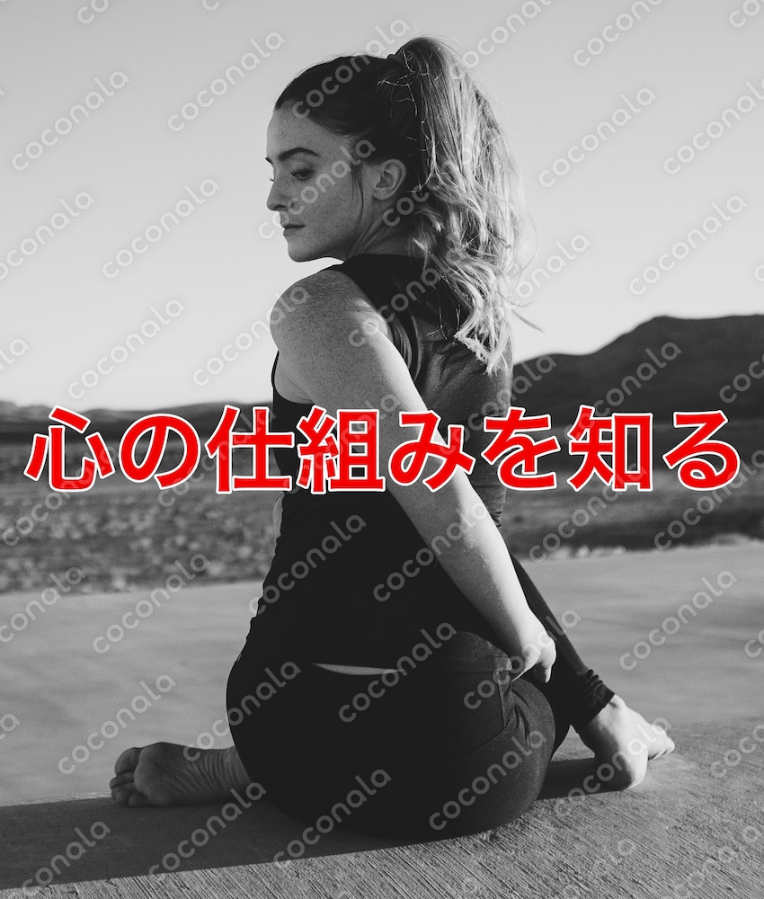 古代ヨガの智慧を人生で活かしたい人のためのワークブック