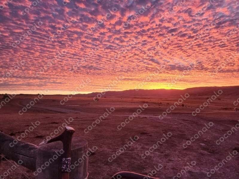 ニュージーランド・南島の牧場からの朝日