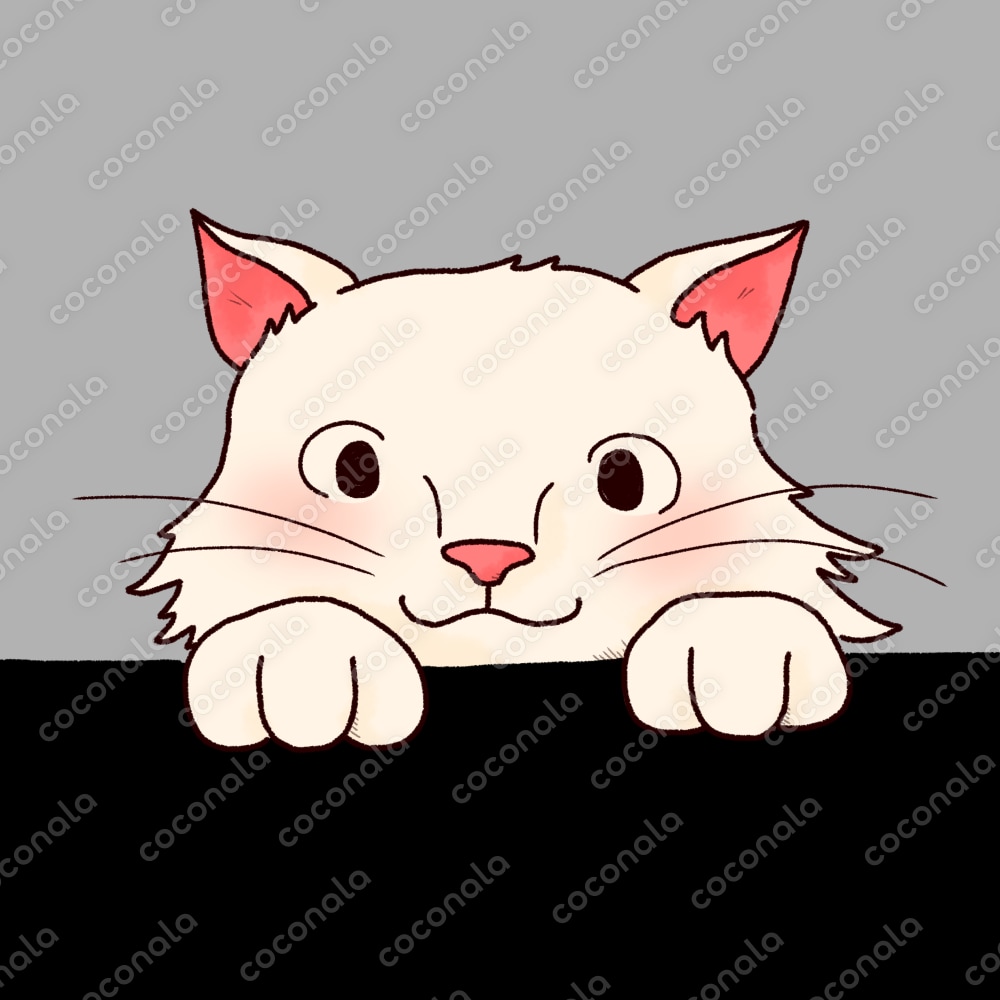 【アイコン用イラスト】ひょこっとアニマルシリーズ 長毛白猫 黒設定用ver.