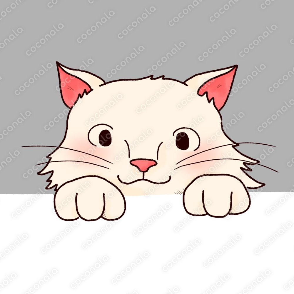 【アイコン用イラスト】ひょこっとアニマルシリーズ 長毛白猫 白設定用ver.