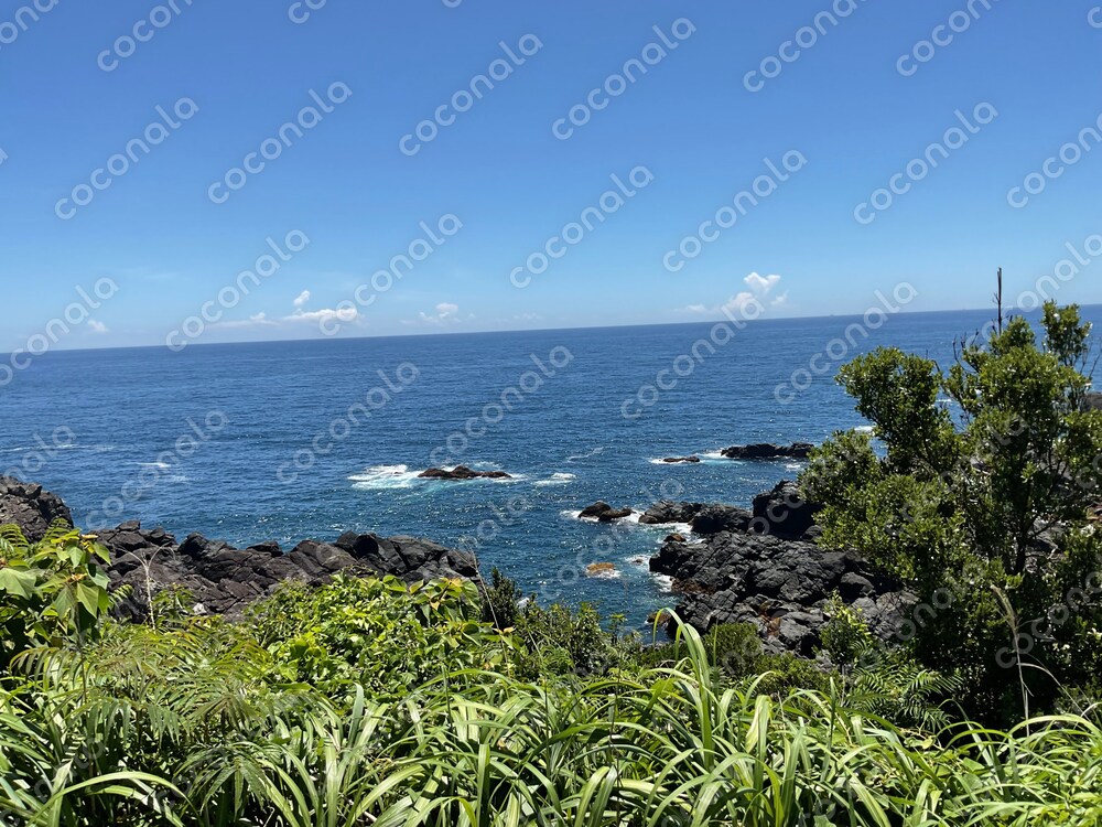 背景や壁紙に使える海・水平線の画像素材
