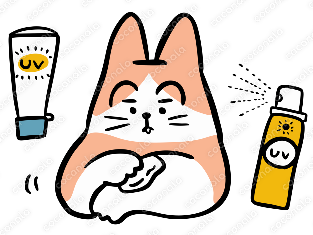日焼け止めを塗る猫