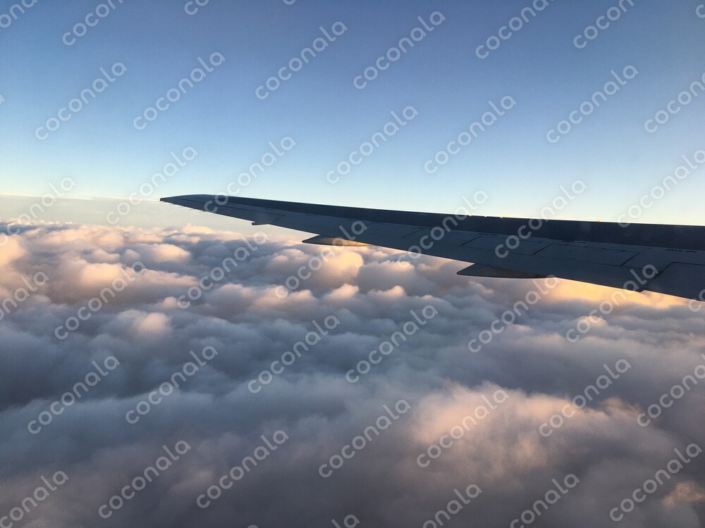 Wing