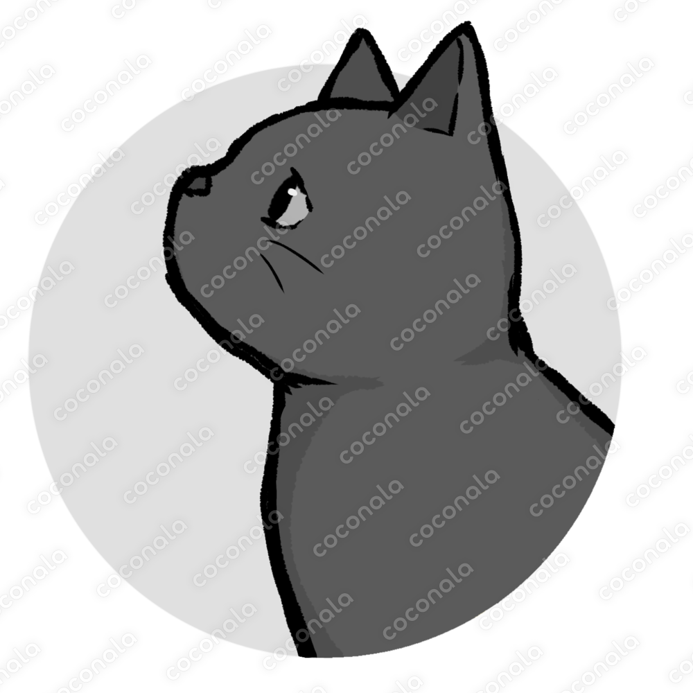 黒猫