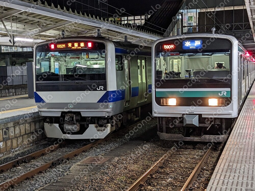 E501系とE531系のツーショット