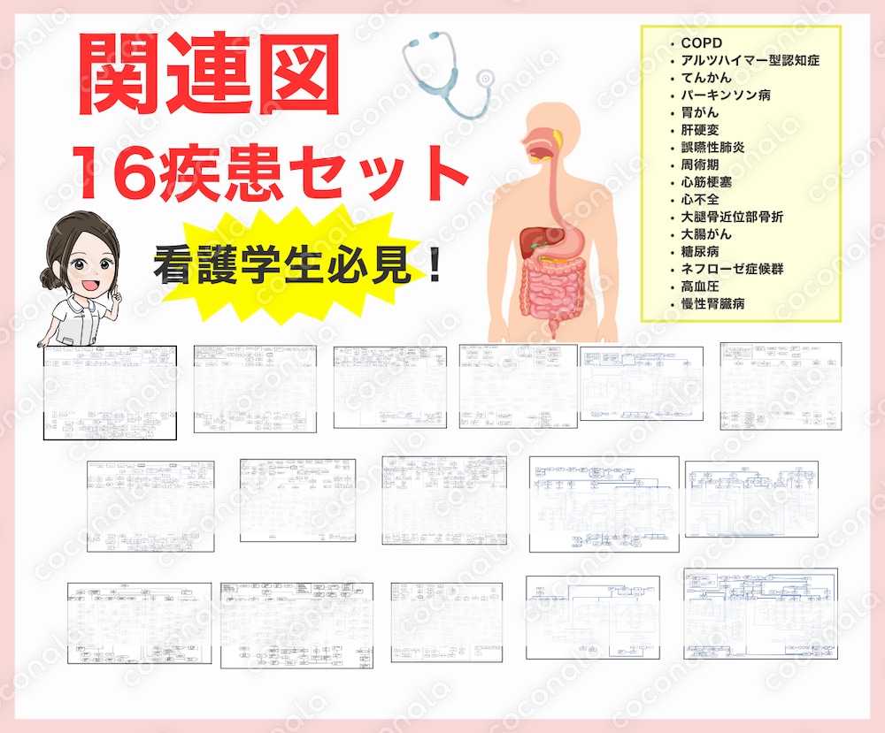 【看護学生向け】関連図16疾患セット｜元教員×現役実習指導者が作成した実習・課題対策用