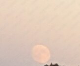 夕方のお月様