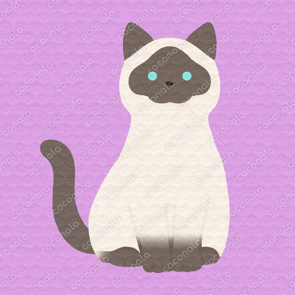 シャム猫のアイコン