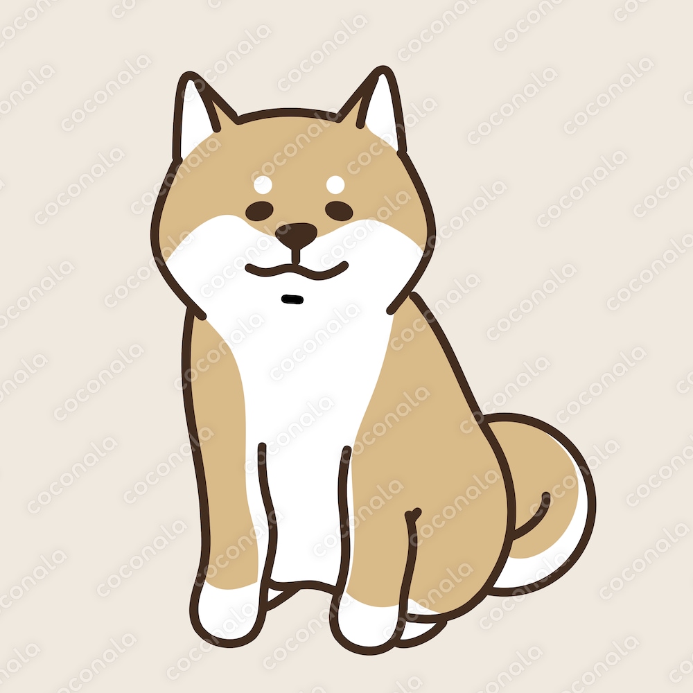 ゆるかわ柴犬