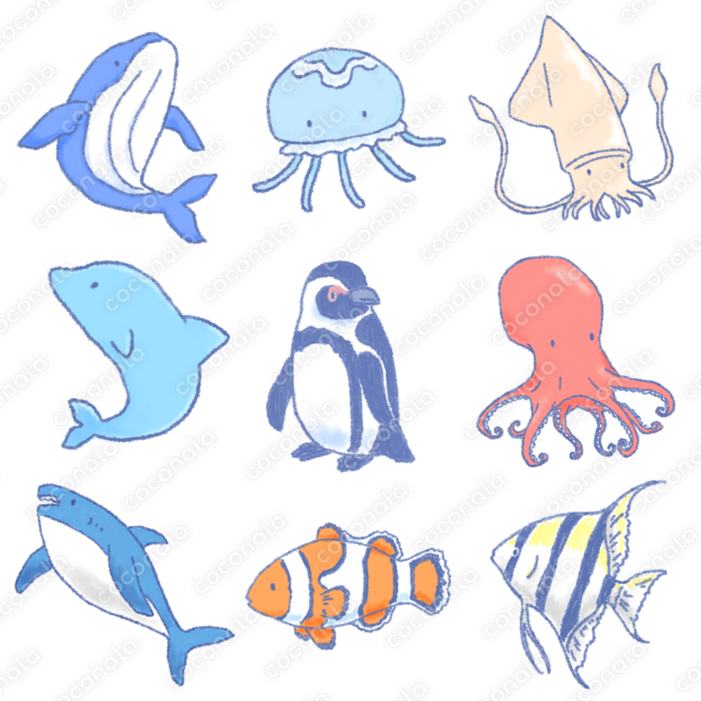 背景透過】海の生き物イラストセット | ココナラコンテンツマーケット