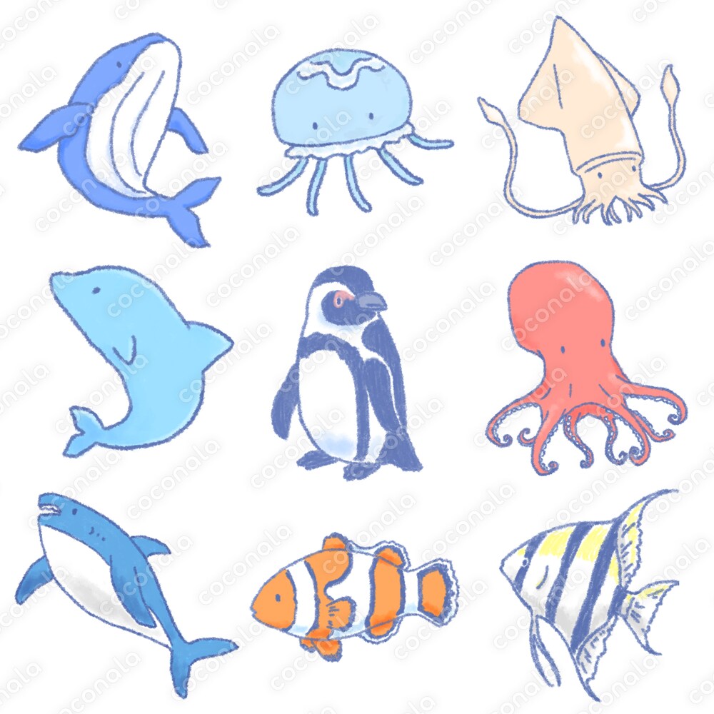 【背景白】海の生き物イラストセット