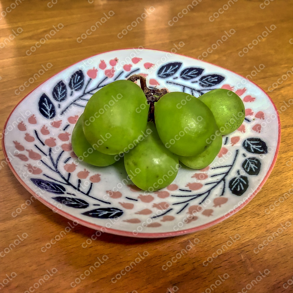 ☆りんごジュース×椎名林檎｜御茶乃子祭々｜coconalaブログ