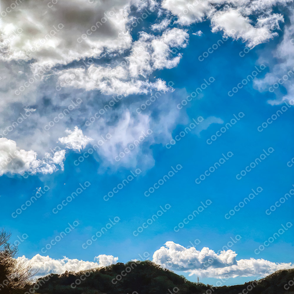 【新品】椎名林檎　ルームシューズ　保存袋付き 新品】椎名林檎 ルームシューズ 保存袋付き