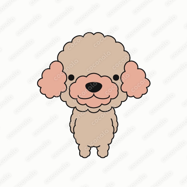 トイプードル